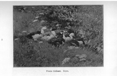 Anatre da Franz Grassel